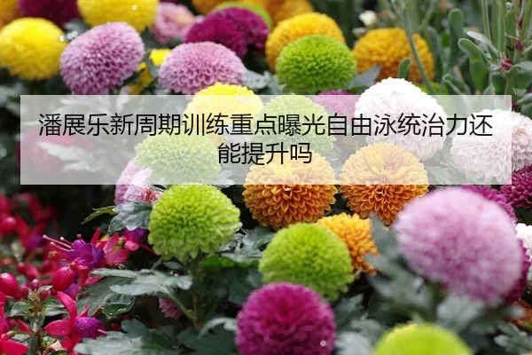 潘展乐新周期训练重点曝光自由泳统治力还能提升吗