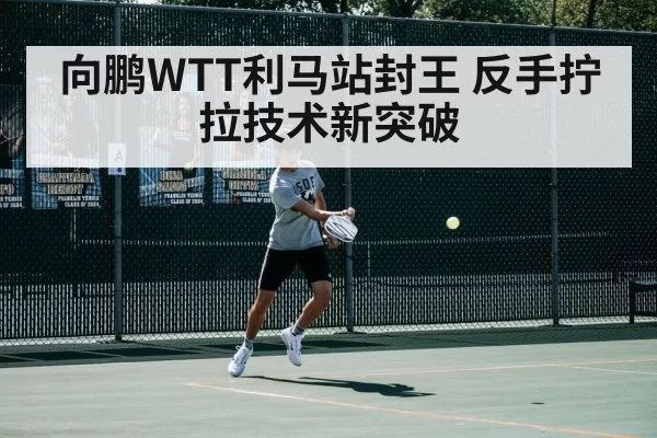 向鹏WTT利马站封王 反手拧拉技术新突破 | pgdianzi
